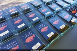 comp_20220828_172500